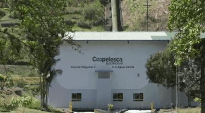 Juzgado entierra caso Coopelesca-Holcim y desestima show mediático