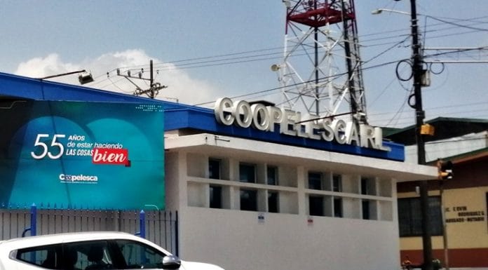 Coopelesca recibe certificado carbono neutral por noveno año consecutivo