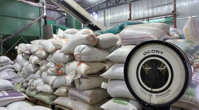 CNP inicia compra de 20 mil quintales de frijol a productores de Zona Sur