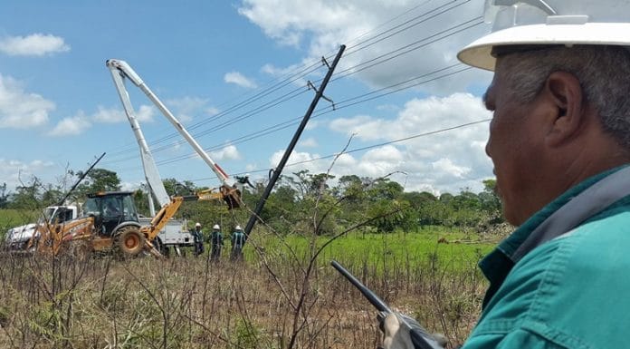Cooperativas cerca del 100% de electrificación en zonas rurales