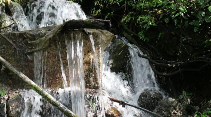 Coopesantos garantiza acceso al agua para 33 mil personas