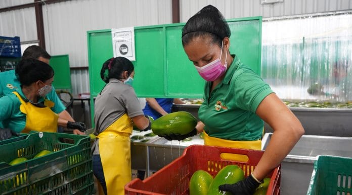 Coopeparrita Tropical: ‘Queremos ser un cantón cooperativizado’