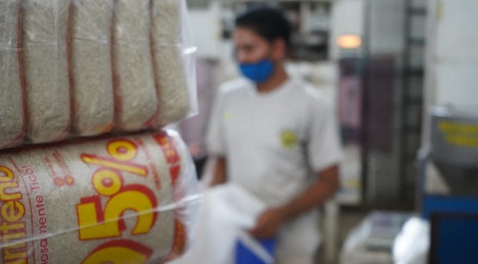 Más impuestos afectarían producción de arrocera en Pacífico Central