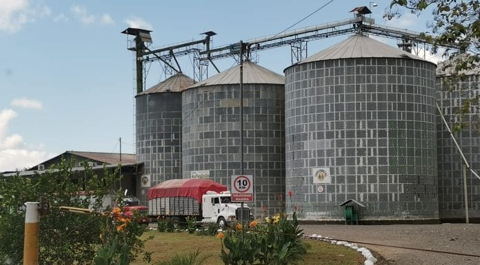 Estado insiste en desproteger a sector arrocero y afecta a cooperativas productoras