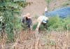 Tiempos de incertidumbre en el mundo: ¿qué significa esto para la gente de la Zona Sur o las zonas agrícolas?