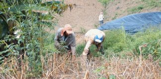 Tiempos de incertidumbre en el mundo: ¿qué significa esto para la gente de la Zona Sur o las zonas agrícolas?