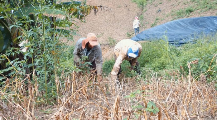 Tiempos de incertidumbre en el mundo: ¿qué significa esto para la gente de la Zona Sur o las zonas agrícolas?