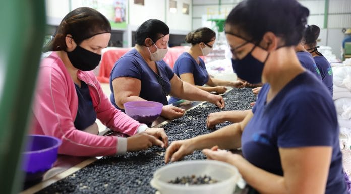 Conacoop pide a candidatos fortalecer programa abastecimiento institucional del CNP
