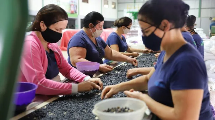 Frijol frijoleras Agro Alimentaria Mujeres INAMU INDER MAG Reactivación económica (1)