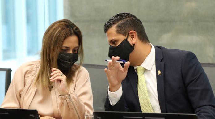 Comisiones Permanentes Especiales serán lideradas por oposición