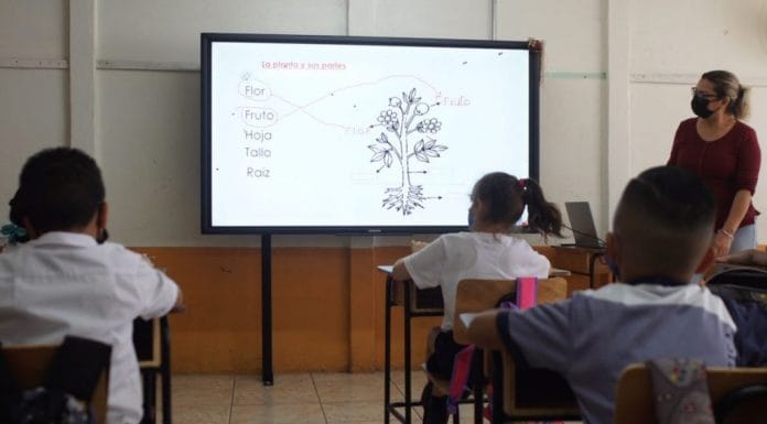 MEP suspende clases presenciales y virtuales del 24 de mayo al 12 de julio