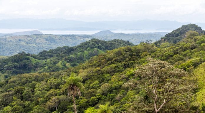 Monteverde, será el nuevo cantón de Costa Rica