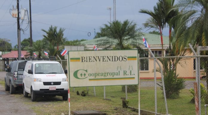 Cooperativistas lograron apoyo para readecuar deudas de Coopeagropal en el Infocoop