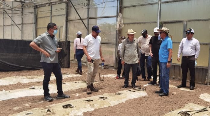 CPCA visita proyecto de cáñamo y marihuana medicinal con miras a la nueva industria
