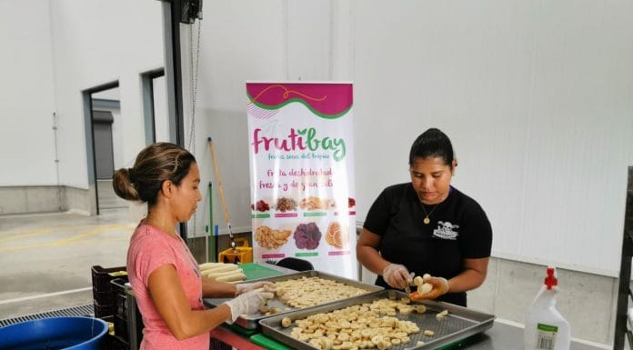 Coopedragonfruit llega al Mercado Chorotega