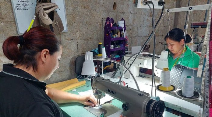 Coopeambiente se convierte en fuente de trabajo para mujeres combatiendo el cambio climático