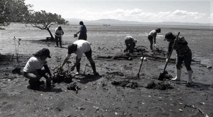 Hacia un sindicalismo verde: el papel de la lucha obrera en contextos de crisis ecológica