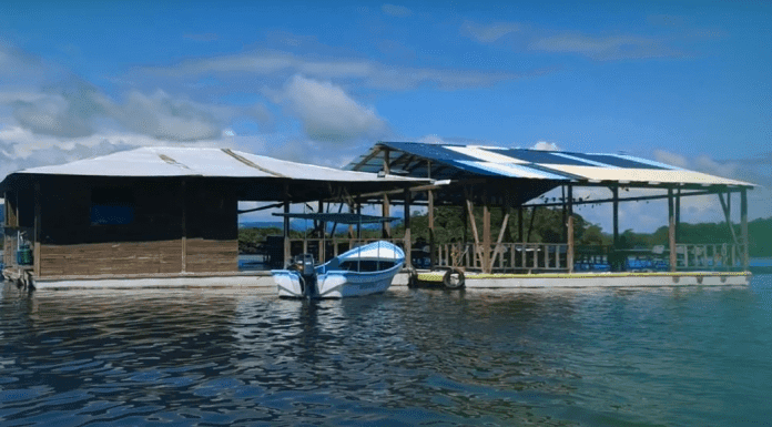 Coopeacuicultores lleva desarrollo a Isla Venado