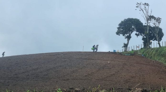 Muni de Cartago vota contra Alianza del Pacífico para evitar más daño a agricultores