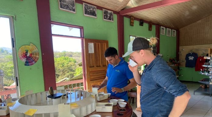 El aroma del café de Guanacaste llegará hasta Holanda y Corea del Sur