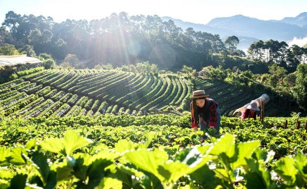 Conacoop dará apoyo legislativo a proyectos agrícolas