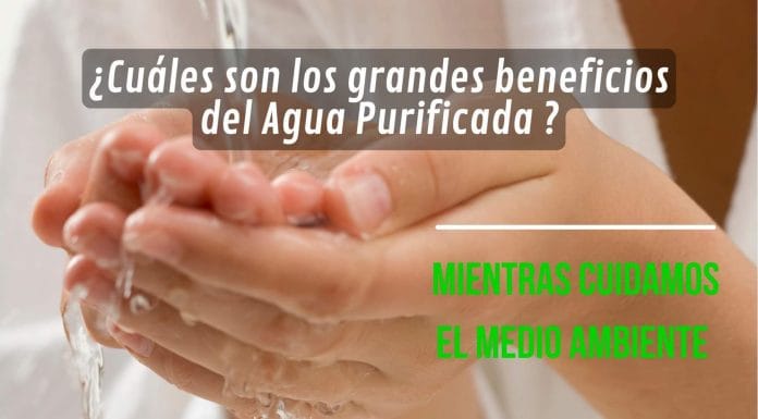 Siacoop R.L.: ‘CPCA Y FNA nos han dado un apoyo invaluable’
