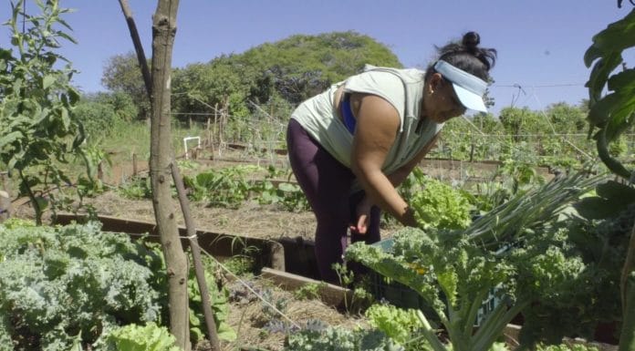 Infocoop busca emprendedores que deseen crear nuevas cooperativas