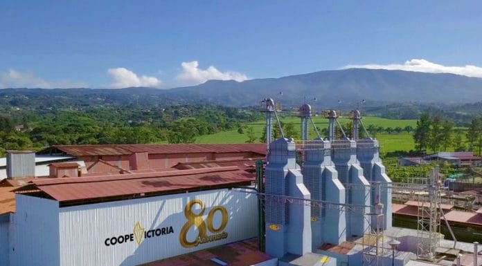 Cooperativismo y alianzas privadas disparan economía en Grecia