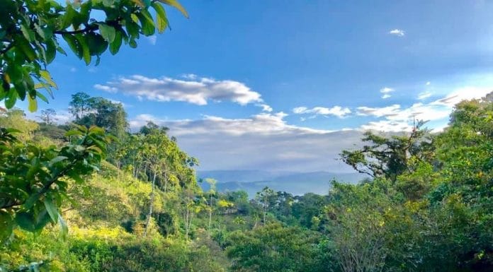 El Camino de Costa Rica: País figura entre los principales destinos turísticos recomendados por The New York Times para este 2024