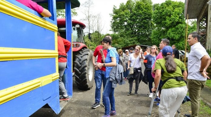 Cámara Costarricense de Hoteles alerta sobre desafíos en la competitividad turística del país
