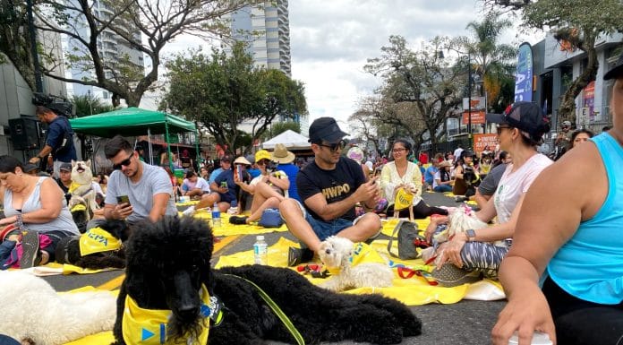 EPA realiza domingos familiares sin humo dedicado a las mascotas