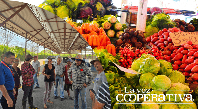La Feria del Agricultor de Barranca vuelve a manos del CNP Feria del Agricultor Barranca