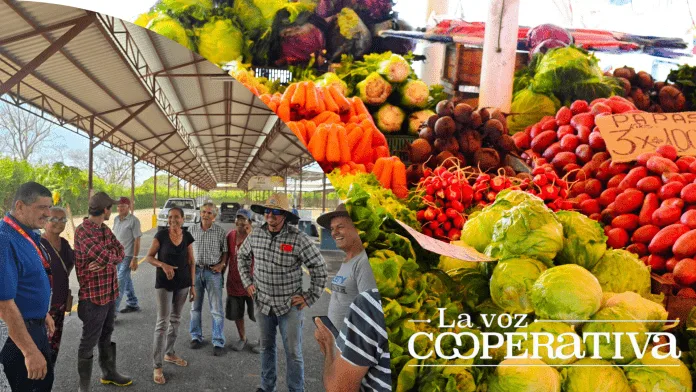 FERIA DEL AGRICULTOR 2 Feria del Agricultor Barranca