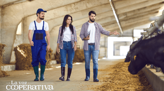 Costa Rica Impulsa la Innovación Verde en el Sector Ganadero con INNOVA-VERDE