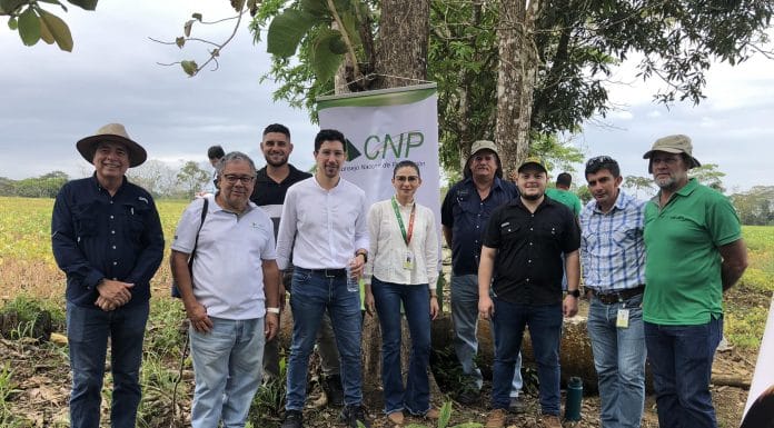 Propuesta de cierre del Consejo Nacional de Producción podría impactar fuertemente a sector cooperativo