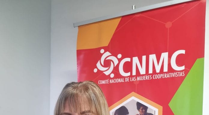 CNMC impulsa proyecto para obtener personería jurídica instrumental