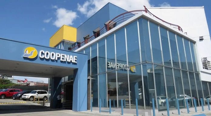 Coopenae estará presente en Convención Cooperativa Financiera