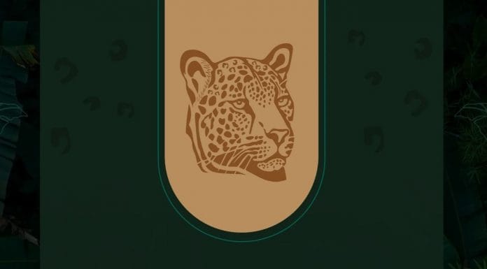 Sala IV declara inconstitucional Ley Jaguar