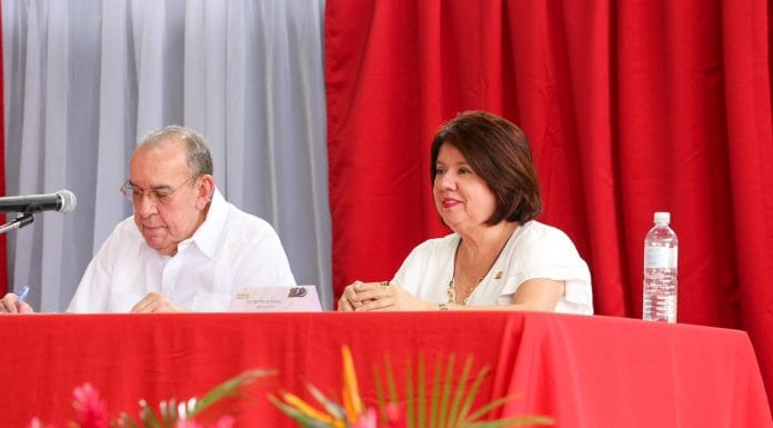 Cooperativas han sido claves para lograr electrificación rural en el país