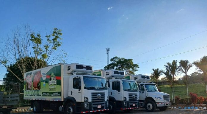 Coopecarnisur celebra 25 años de impulsar el desarrollo ganadero en la Zona Sur