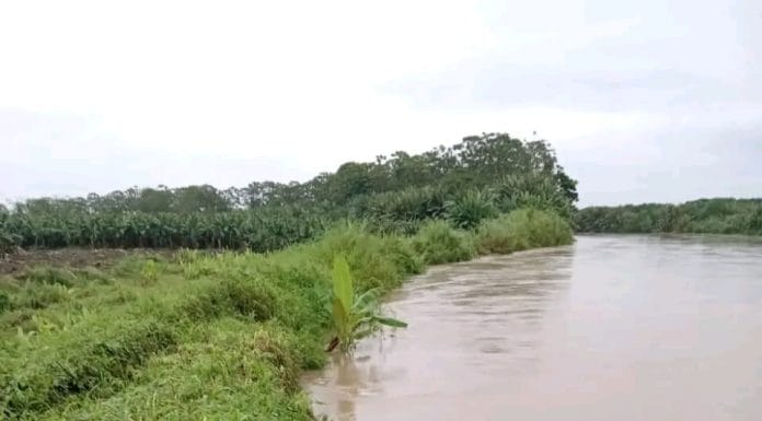 Empuje frío mantendrá fuertes vientos y lluvias hasta esta noche