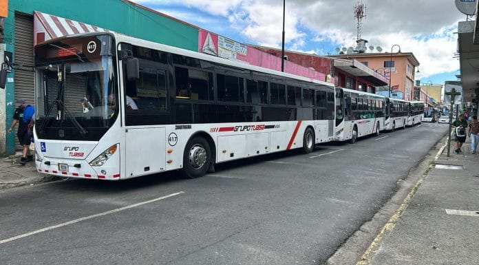 CTP designa, de nuevo a Tuasa Heredia para operar ruta Heredia – San José