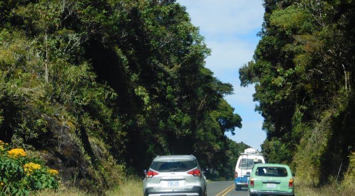 Gobierno iluminará tramo oscuro de Ruta 32 y promete señal celular