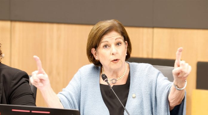 Diputada Pilar Cisneros advierte fin de “red de cuido” para narcos