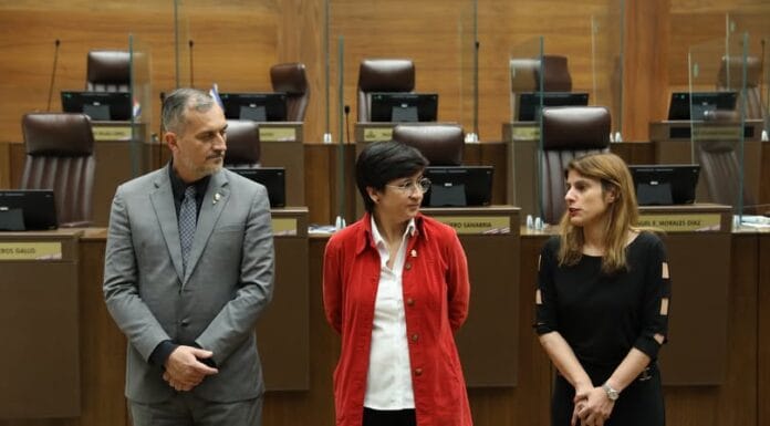 Integrantes de comisión para levantar inmunidad al Presidente choca por plazo para comparecencia