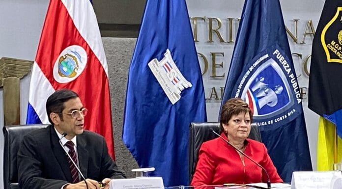 TSE recibió 1365 inscripciones de candidaturas y rechazó 96