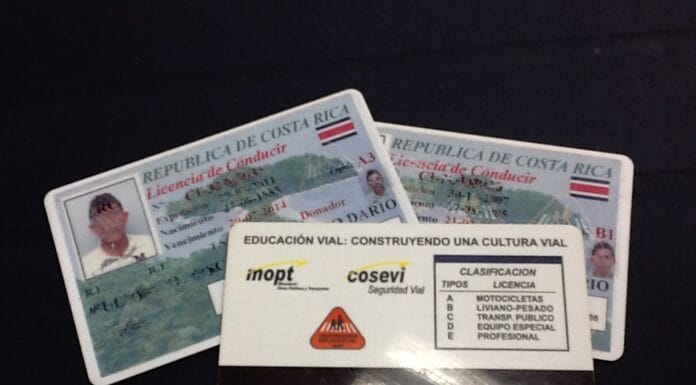 2026 traería implementación de licencia digital