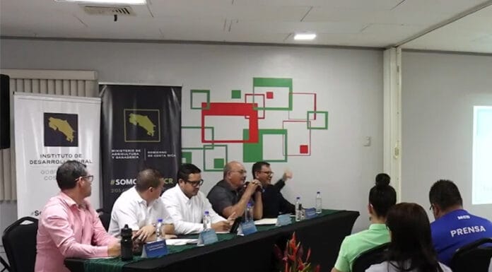Roya naranja golpea Pérez Zeledón y Buenos Aires, gobierno decreta emergencia