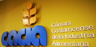 CACIA urge a diputados aprobar proyecto de Armonización Eléctrica para garantizar competitividad