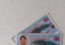 Conductores deben renovar su licencia, aunque no sea obligatorio portarla físicamente Licencia de Conducir